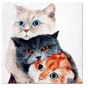 Serwetki papierowe PAW Better Together 33×33 cm / 20 szt.