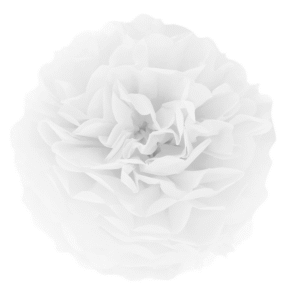 Pompon z bibuły – biały 25cm