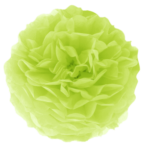 Pompon z bibuły – zielony 15cm